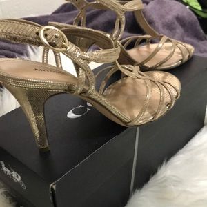 Antonio Melani all gold💃🏼 strap heels